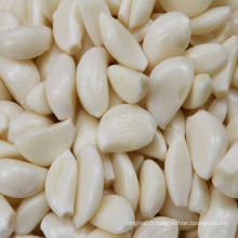 Wholesale fresh shelf life peeled garlic
